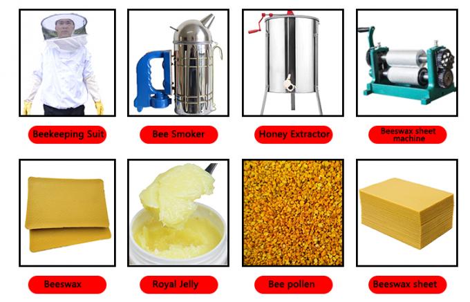 Nuovo marcatore di api regina regina apicoltura Apicultura 2