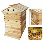 Alveare di abete Langstroth Honey Flow con 7 alveari in plastica per apicoltura