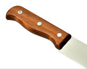 Gli strumenti di apicoltura di alta qualità rispecchiano il coltello scoperchiante manuale polacco con la maniglia di legno