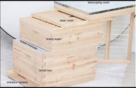 Alveare di legno di stile dell'attrezzatura dell'alveare dell'alveare di apicoltura di legno europea di apicoltura