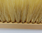 Il doppio rema le spazzole di plastica dell'ape dei capelli della maniglia di legno per apicoltura