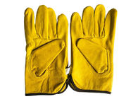 Guanti bianchi o gialli della pelle di pecora di Equipment Hand Protect dell'apicoltore di apicoltura senza polsino