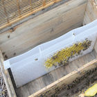Attrezzatura 49*43.8*22.3cm Honey Bee Feeder Multi Function dell'alveare del commestibile