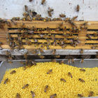 Polline puro crudo naturale dell'ape di Honey Bee Pollen Fresh Organic