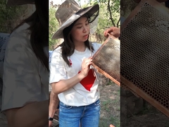 100% Pure Natural Organic Bee Jujube Honey Sidr Honey Finest Dark Color Honey