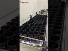 Nocciolo di Manuka in Nuova Zelanda al forno miele di Manuka puro crudo miele di Manuka miscela miele di Manuka in tamburo miele di api naturale