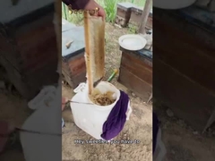 Miele biologico naturale puro al 100% Senza additivi