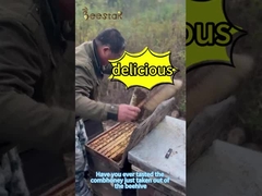 500 g di miele naturale a pettine a più fiori giallo chiaro di qualità alimentare