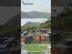 Miele naturale polline d'api grezzo granulare polline d'api puro cibo per api