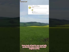 Beestar Organic Fresh Royal Jelly For Human Health, ampiamente lodata