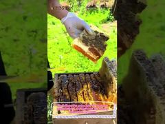 100% miele di agrumi naturale miele crudo puro cibo sano miele d'api naturale al dettaglio