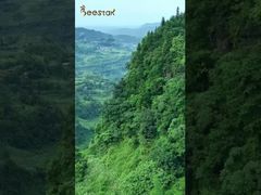 Vi porteremo a visitare la nostra fattoria di api situata nel profondo delle montagne e vi avvicinerete alla natura