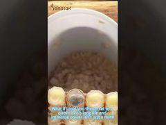 Sai come si raccoglie la pappa reale? Dopo aver letto questo, capirai