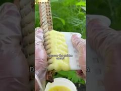 Se conosci i benefici della pappa reale per il corpo umano, sicuramente ti piacerà.