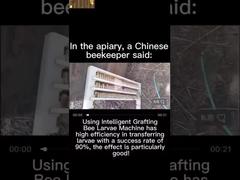 Apparecchiature per l'inseminazione artificiale delle api regina versione standard con kit per esperimenti agricoli