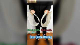 Sistema di allevamento dell'ape regina senza innesto