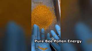 Potenziatore di energia naturale con polline d'api puro