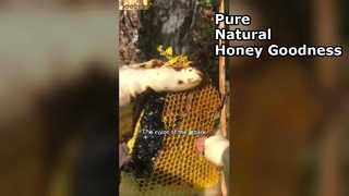 Perché il miele nero è il superalimento definitivo per la tua dispensa