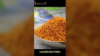 Polline d'api crudo biologico Energia naturale e benessere