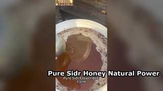 Potenziamento energetico naturale al miele puro di Sidr