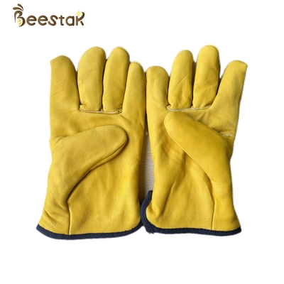 comprare Colore giallo dei nuovi guanti caldi spessi di stile affinchè apicoltura proteggano gli apicoltori fabbricazione online