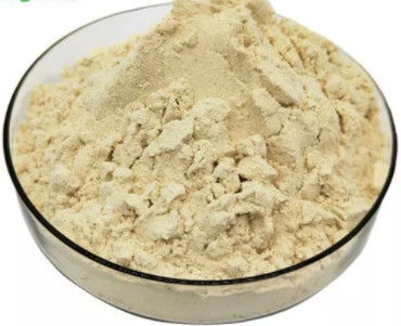 comprare Jelly Lyophilized Powder reale fresca organica pura 5,5% 10-HDA Honey Bee Products fabbricazione online