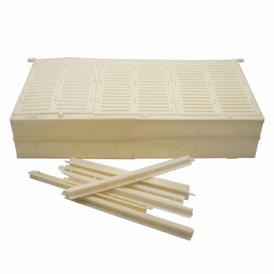 comprare Ape regina di plastica durevole Controler d'elevazione di Talian delle strutture di doppio fabbricazione online