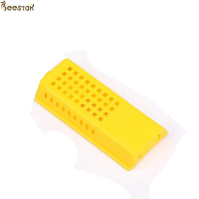 comprare Regina di apicoltura che eleva ape regina di bambù e di plastica che eleva gabbia fabbricazione online