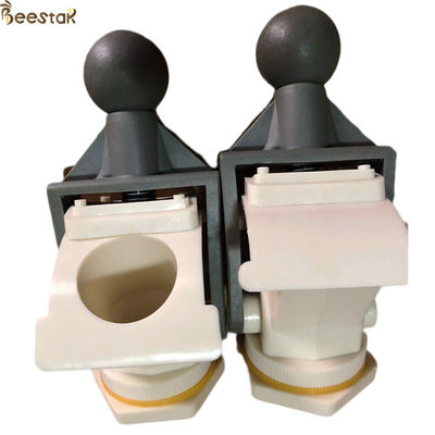 comprare L'apicoltura di alta qualità foggia il portone di plastica del miele dell'ABS di apicoltura del commestibile fabbricazione online