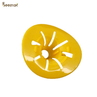 comprare Plastica Semplice Hornet Killer Honey Bee Catcher Accessori per alveari Insetti Trappola per vespe fabbricazione online