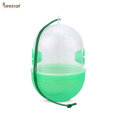 comprare Strumento verde dell'uccisore degli insetti del collettore dell'ape degli accessori dell'alveare dell'uccisore del calabrone della trappola della vespa fabbricazione online