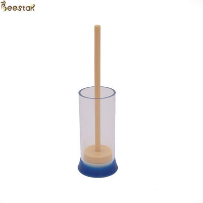 comprare Regina degli strumenti di apicoltura che eleva indicatore di plastica dell'ape regina di apicoltura il breve fabbricazione online