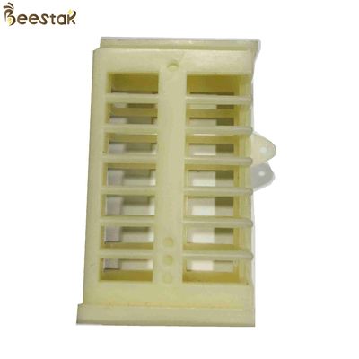 comprare Cage di plastica regina regina apicoltura sistema di allevamento multifunzionale per l'apicoltura fabbricazione online