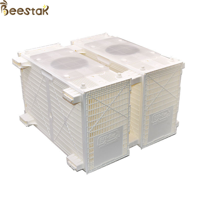 comprare Gabbia di plastica dell'ape dell'installazione dell'ape del pacchetto del bus dell'ape dell'attrezzatura dell'alveare fabbricazione online