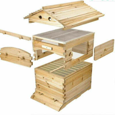Cornici di alveare a flusso autonomo Alveare di legno e cornice di abete per l'apicoltura