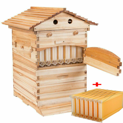 Bee Star Langstroth Flow Hive Uvia con 7 cornici di plastica Alveari e cornice per l'apicoltura