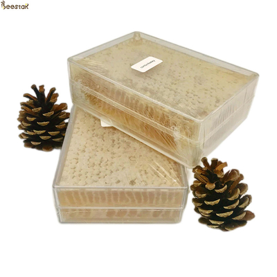 Miele di api naturale di Beestar 100% naturale e delizioso miele di pannocchia per il consumo diretto