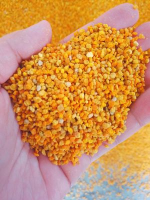 Misto Polline D'api Crudo Fresco Pieno Di Nutrizione Grande Granulo