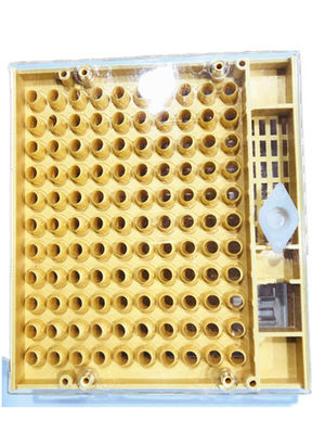 Kit per l'allevamento di regine d'api in plastica 14,6 cm * 13 cm * 3 cm per l'apicoltura