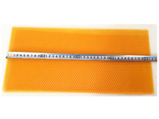 ampi corredi di plastica dell'alveare dello strato del fondamento di 283mm di colore nero e giallo