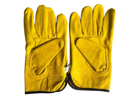 Attrezzature per l'apicoltura Protezione mani pelle di pecora Guanti apicoltori bianchi o gialli senza manette
