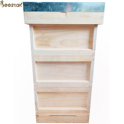 Attrezzature di alveare in legno di stile Langstroth per l'apicoltura e l'apicoltura