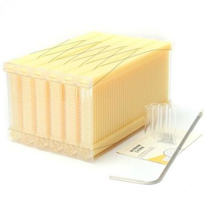 Flusso di miele in plastica Cornice di alveare di miele auto-fluente