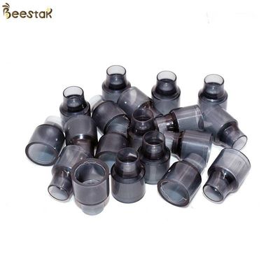 Tazze di plastica delle cellule dell'ape regina di apicoltura di apicoltura all'ingrosso degli strumenti per apicoltura