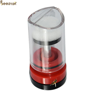 Indicatore Mark Plastic Box Queen Rearing trasparente rosso dell'ape regina