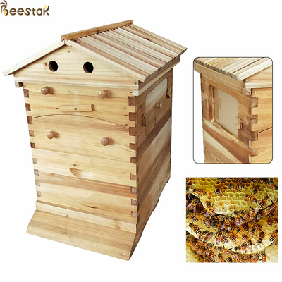 Apparecchiature apicole per l'apicoltura