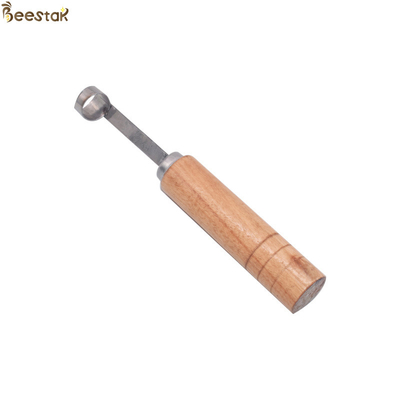 Ape regina che eleva coltello con la maniglia di legno